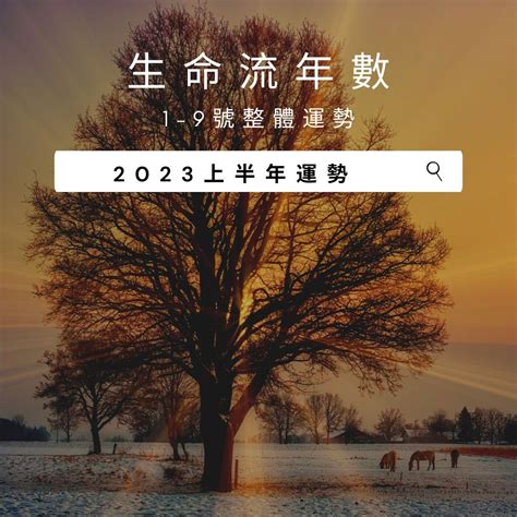 2023流年桃花|V生命靈數／ 2023上半年【愛情運勢】分析&生命流年。